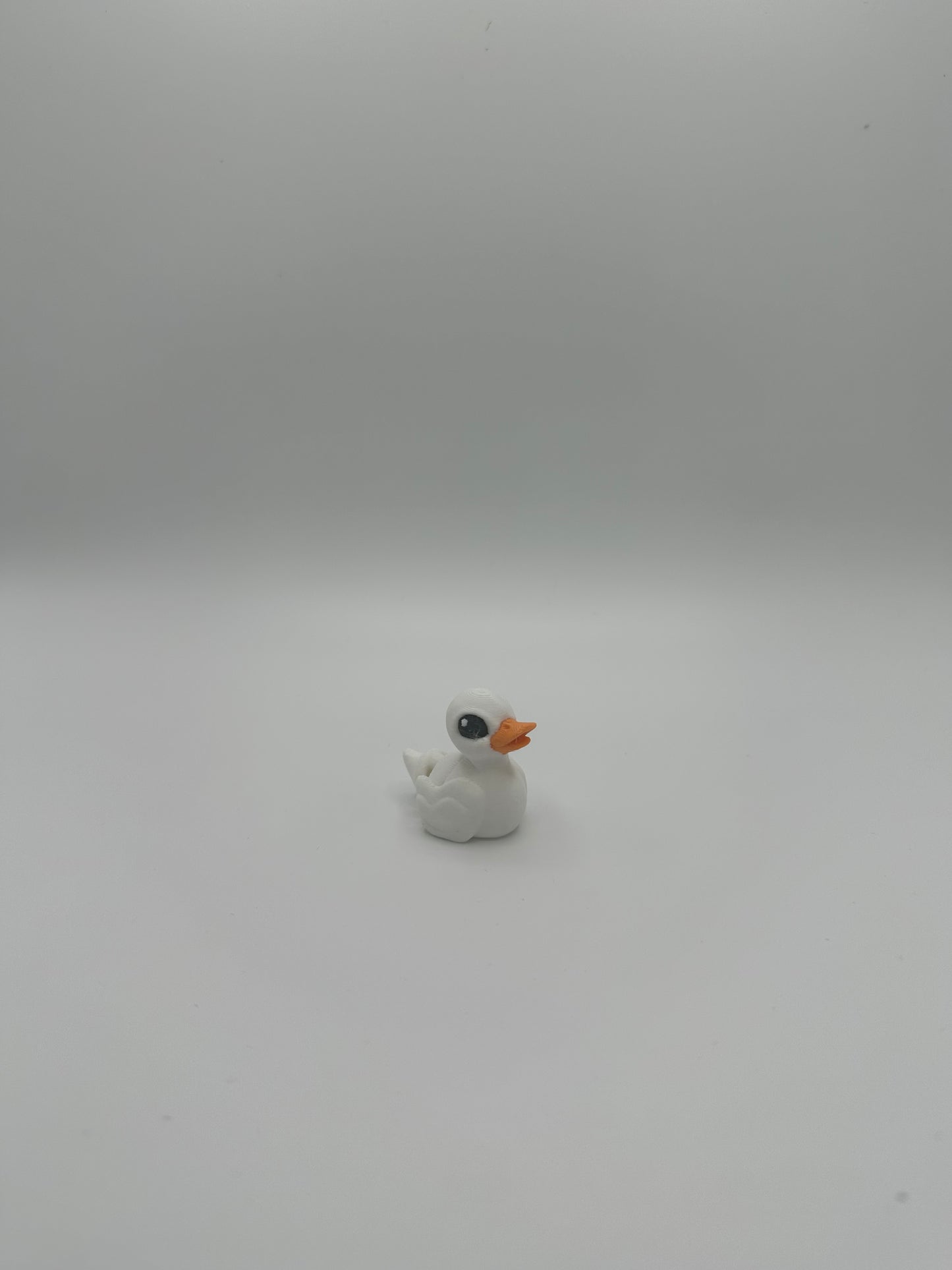 Duck Hatchling