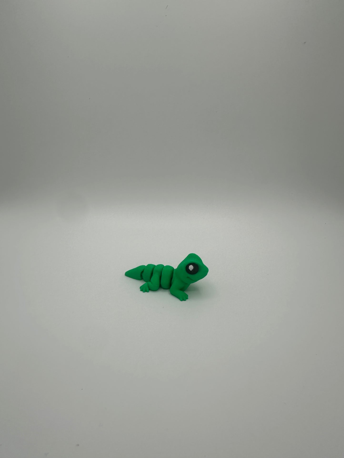 Lizard