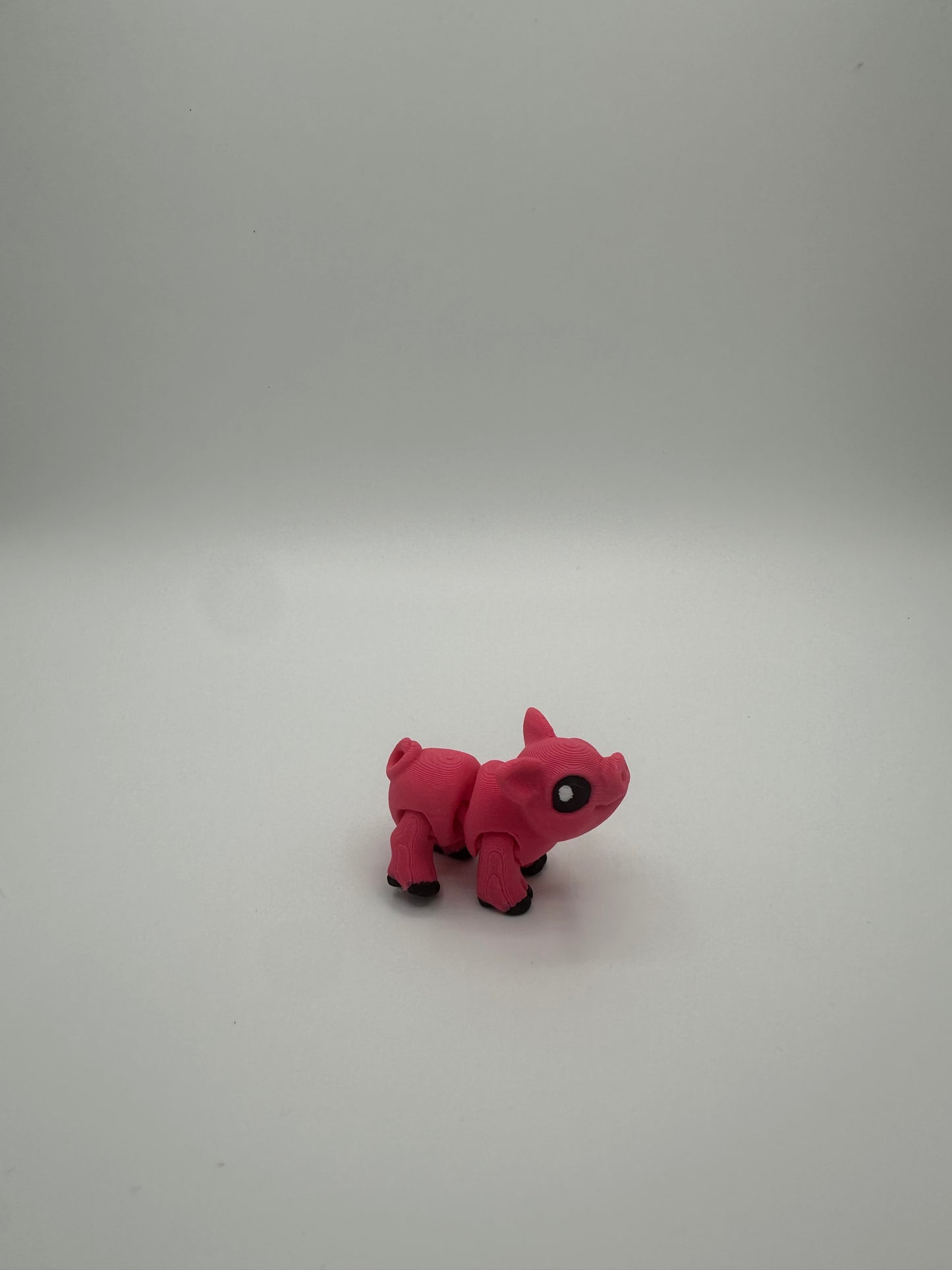 Pig