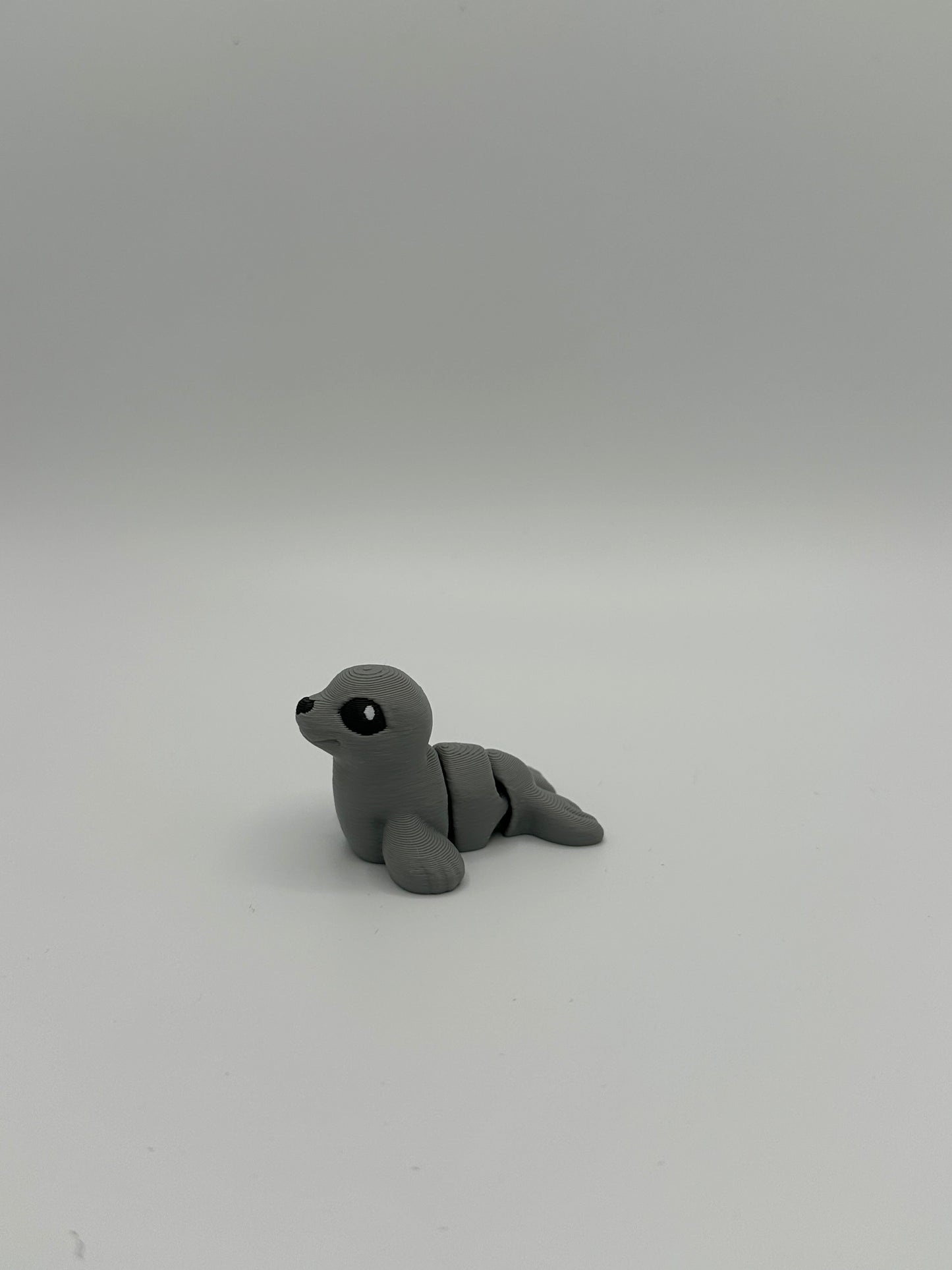 Seal Hatchling