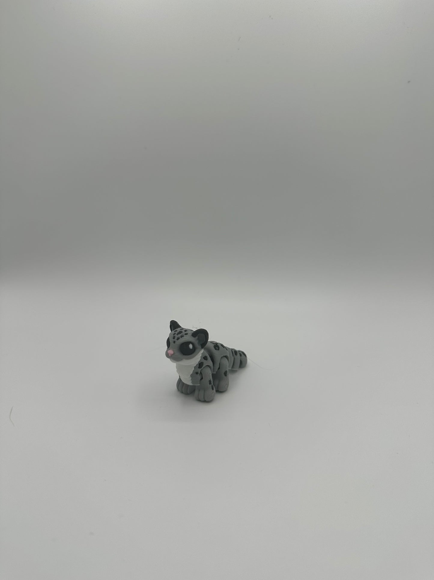 Snow Leopard