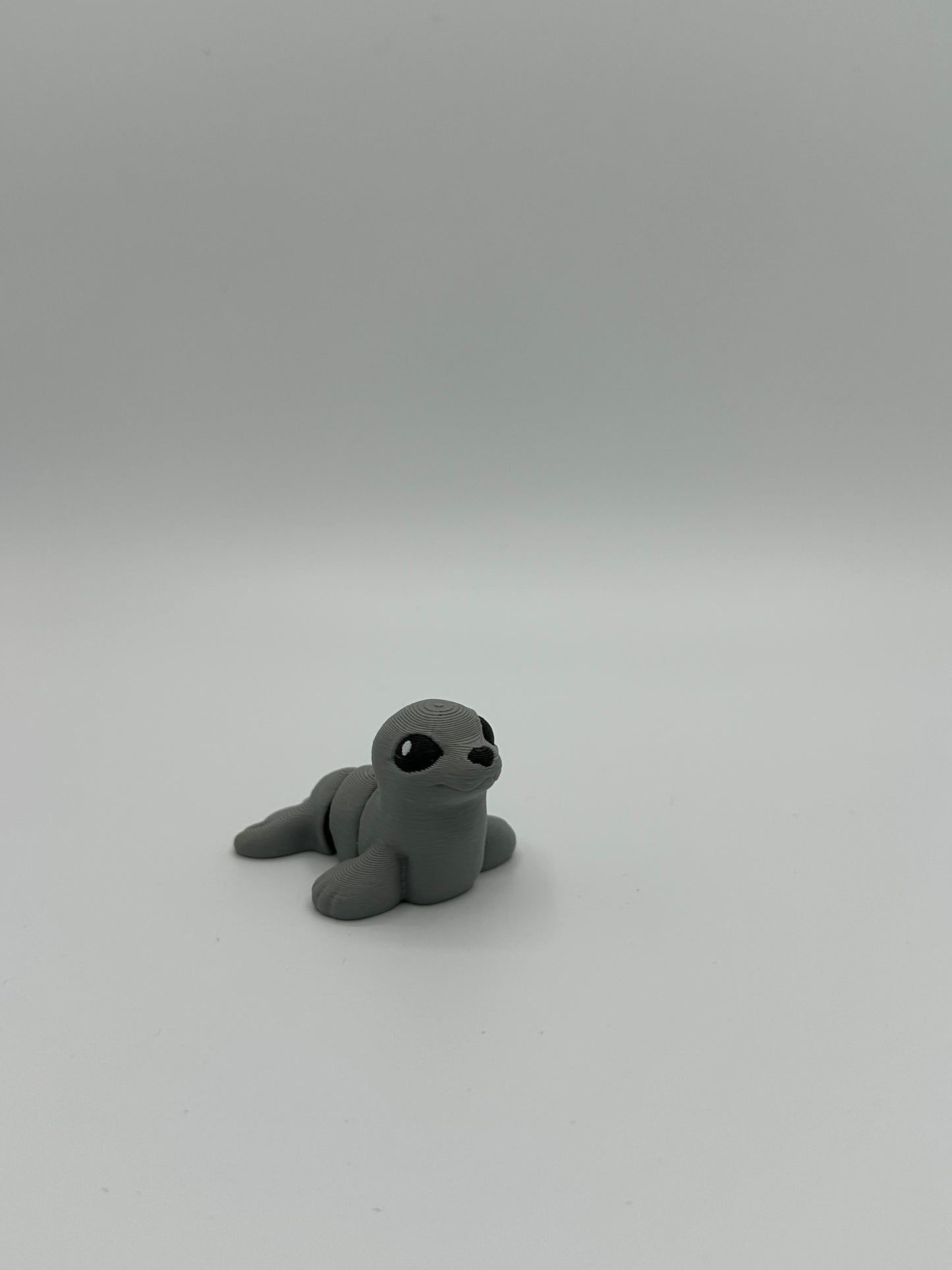 Seal Hatchling