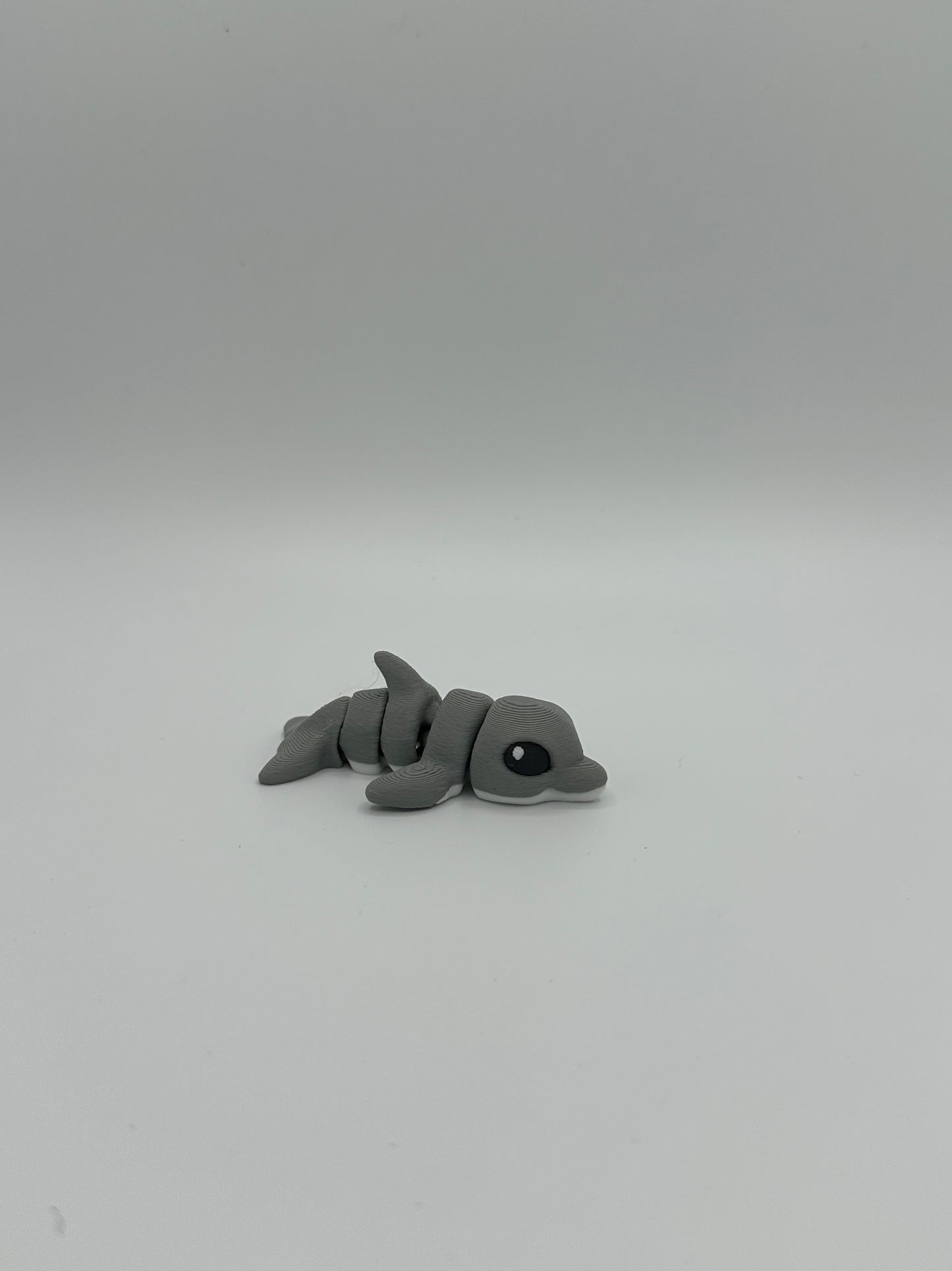 Dolphin Hatchling