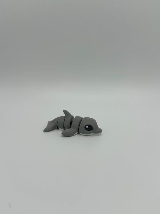 Dolphin Hatchling