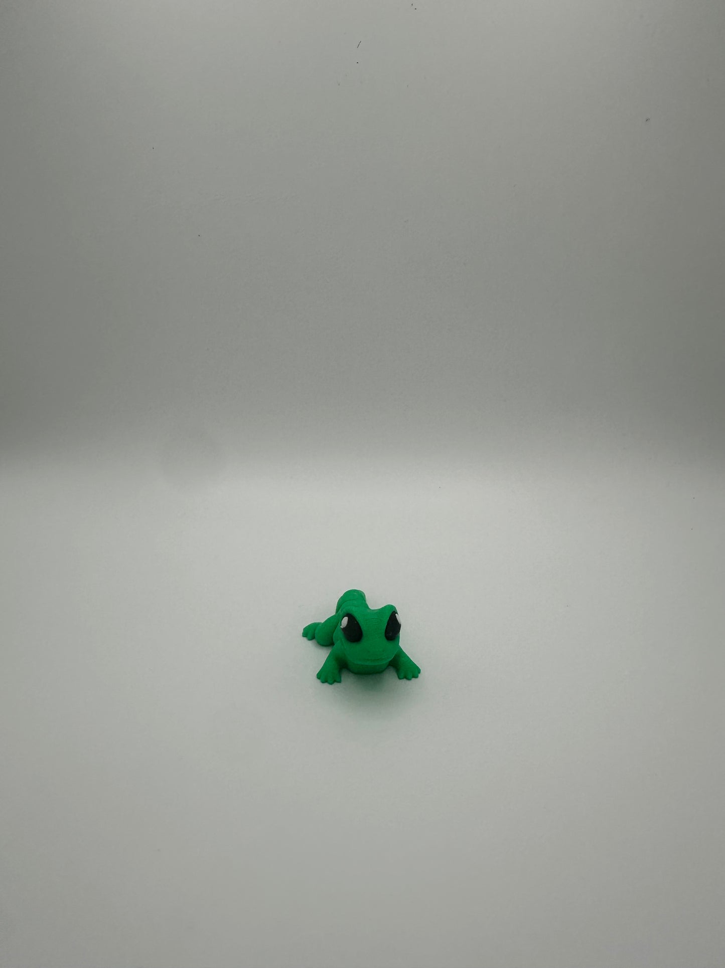 Lizard
