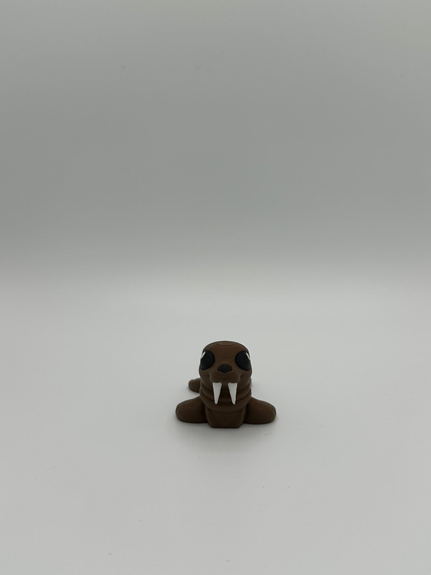 Walrus Hatchling