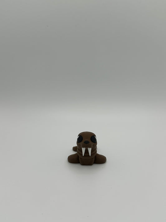 Walrus Hatchling