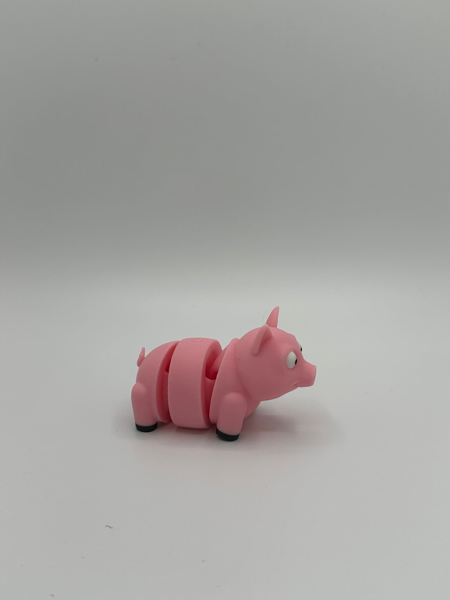 Mini Pig