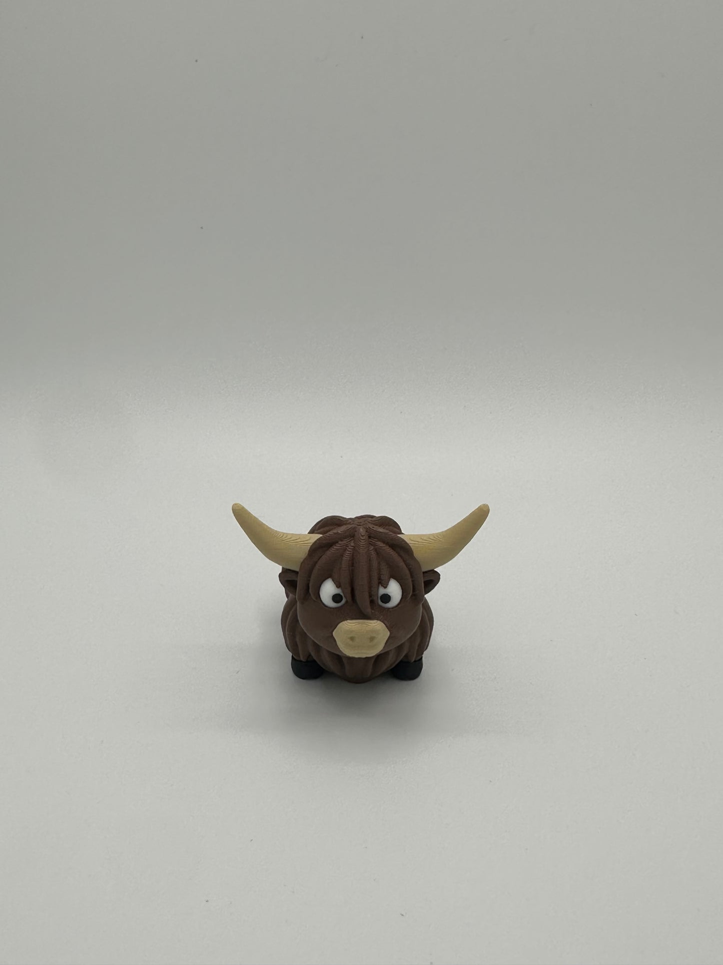 Mini Highland Cow
