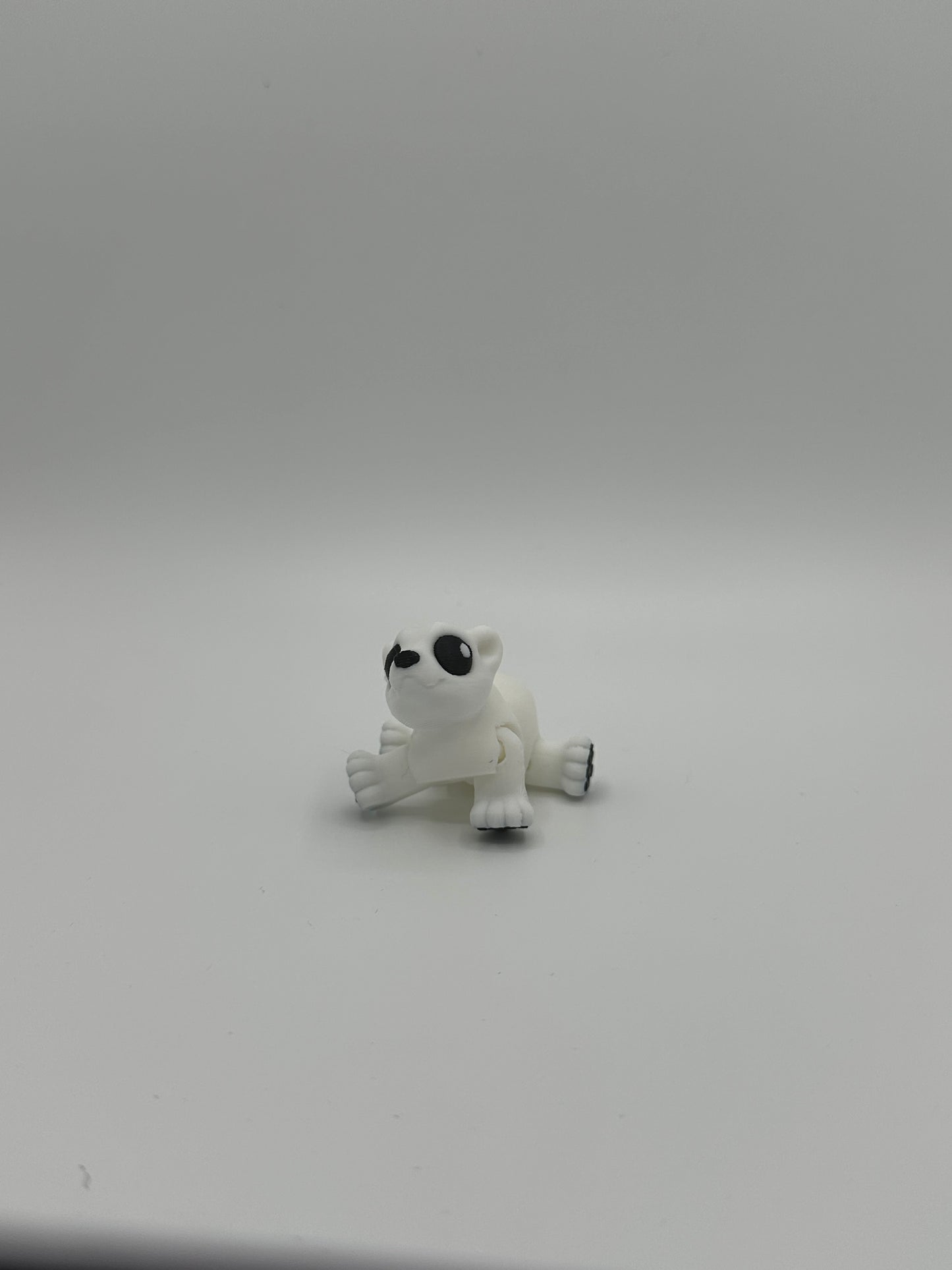 Polar Bear Hatchling