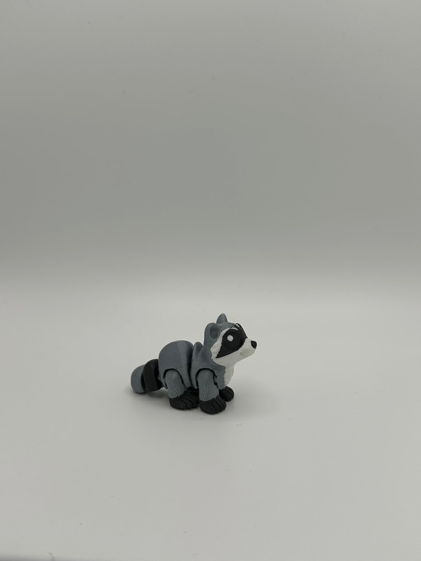 Racoon Hatchling