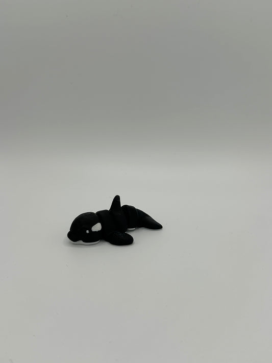 Orca Hatchling