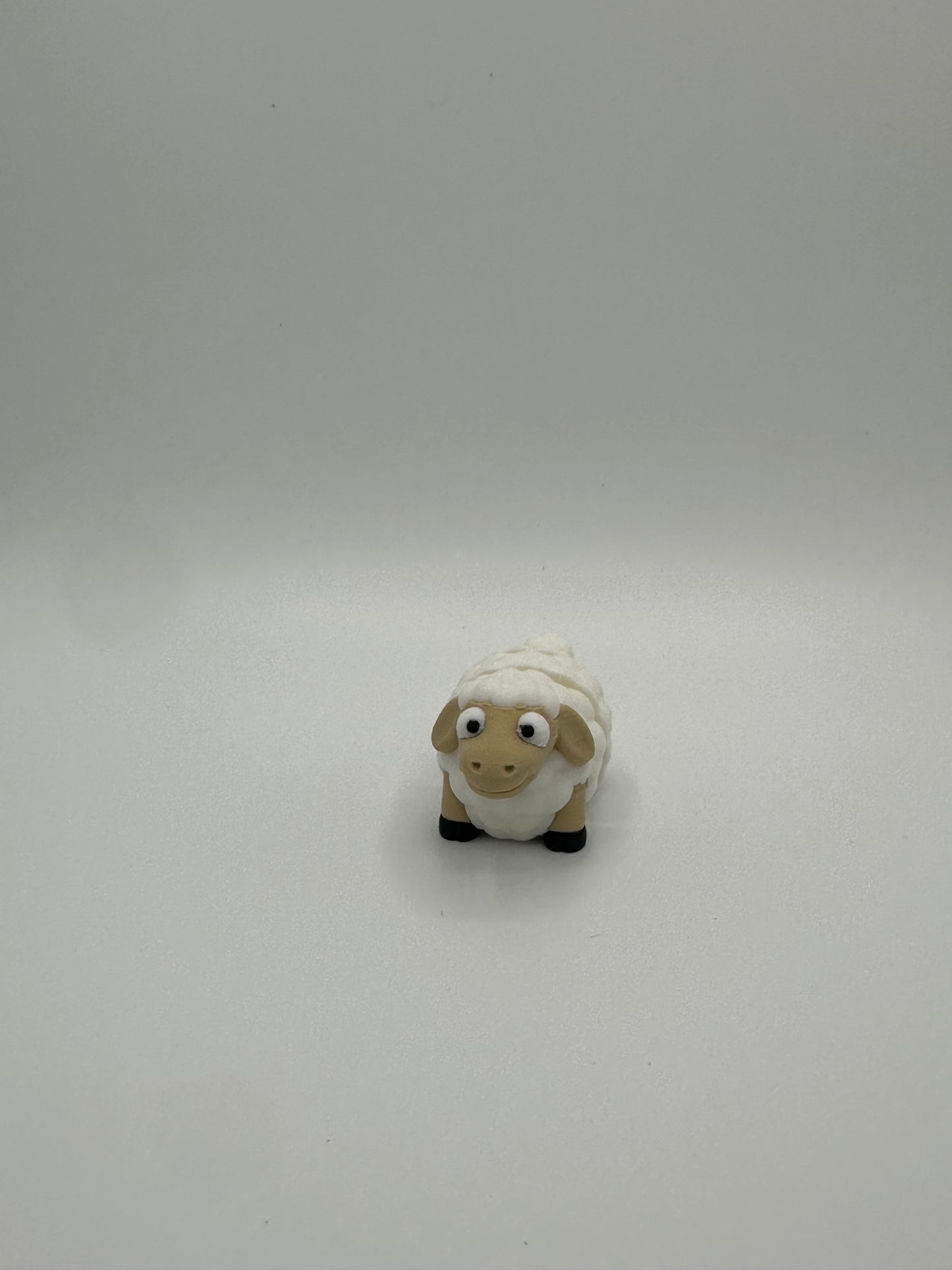 Mini Sheep