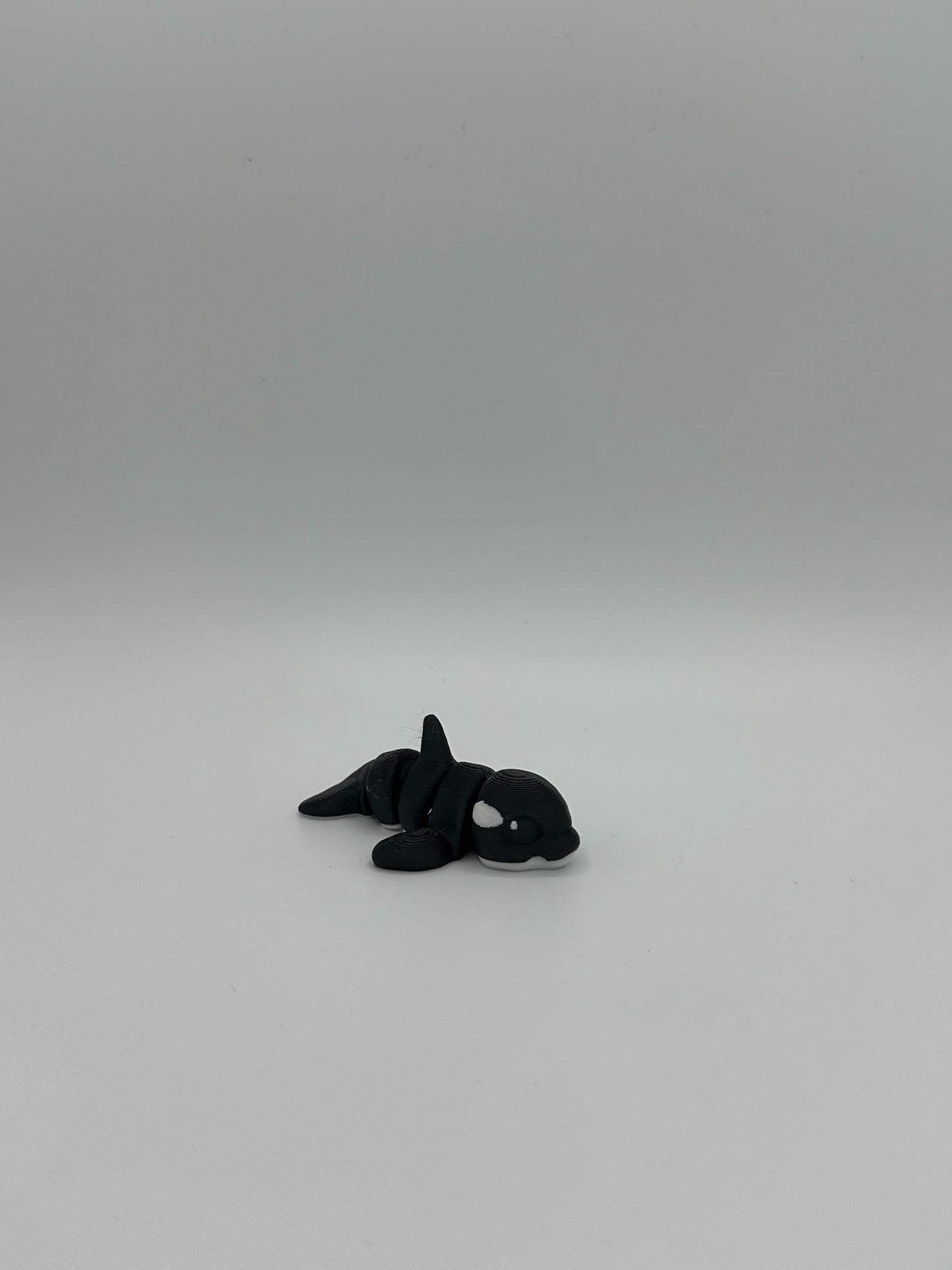 Orca Hatchling
