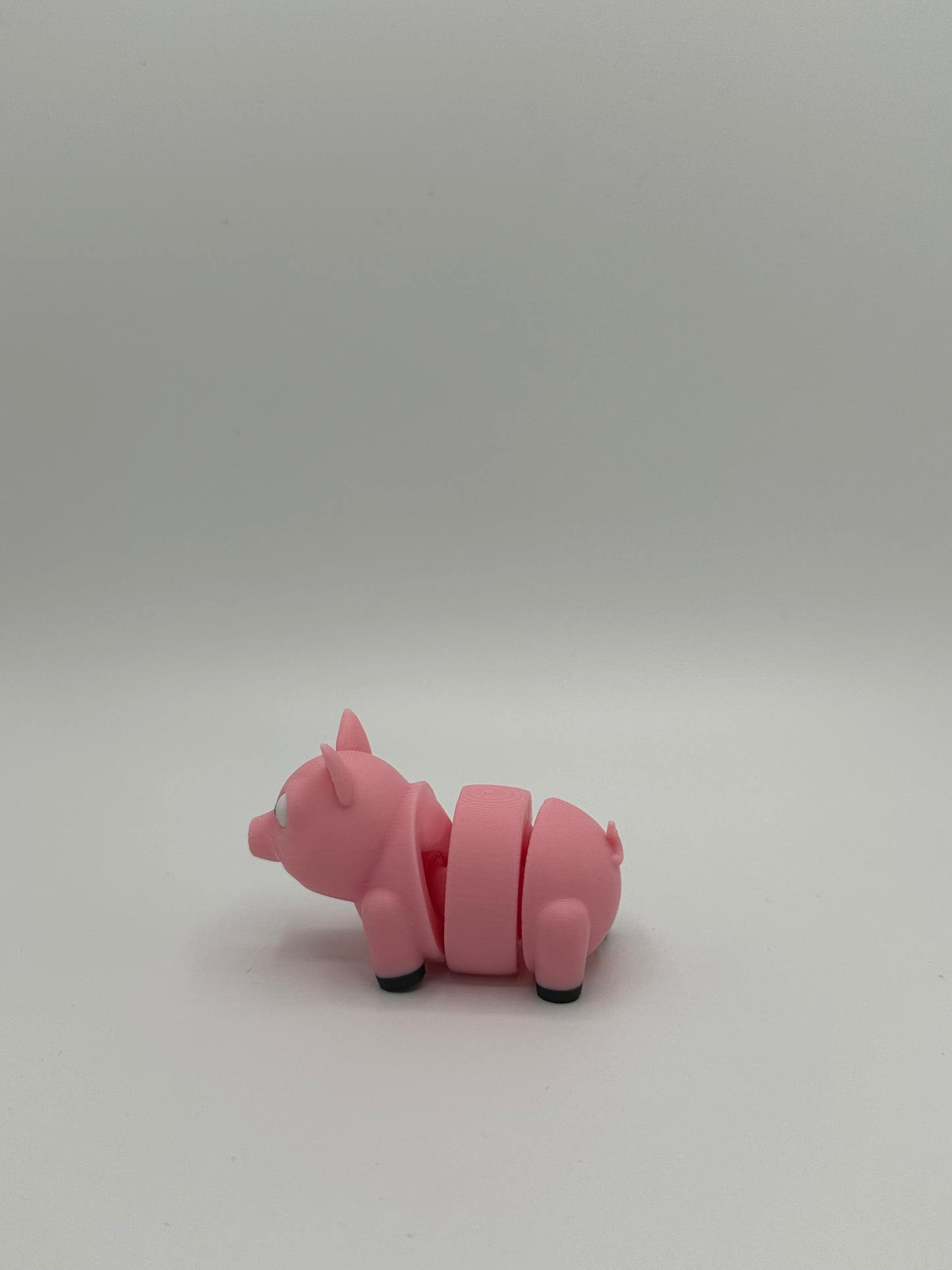 Mini Pig