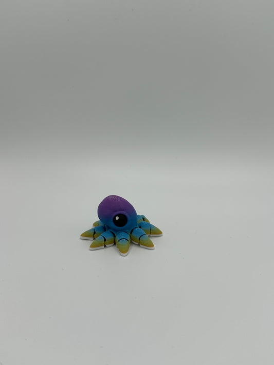Rainbow Octopus Hatchling