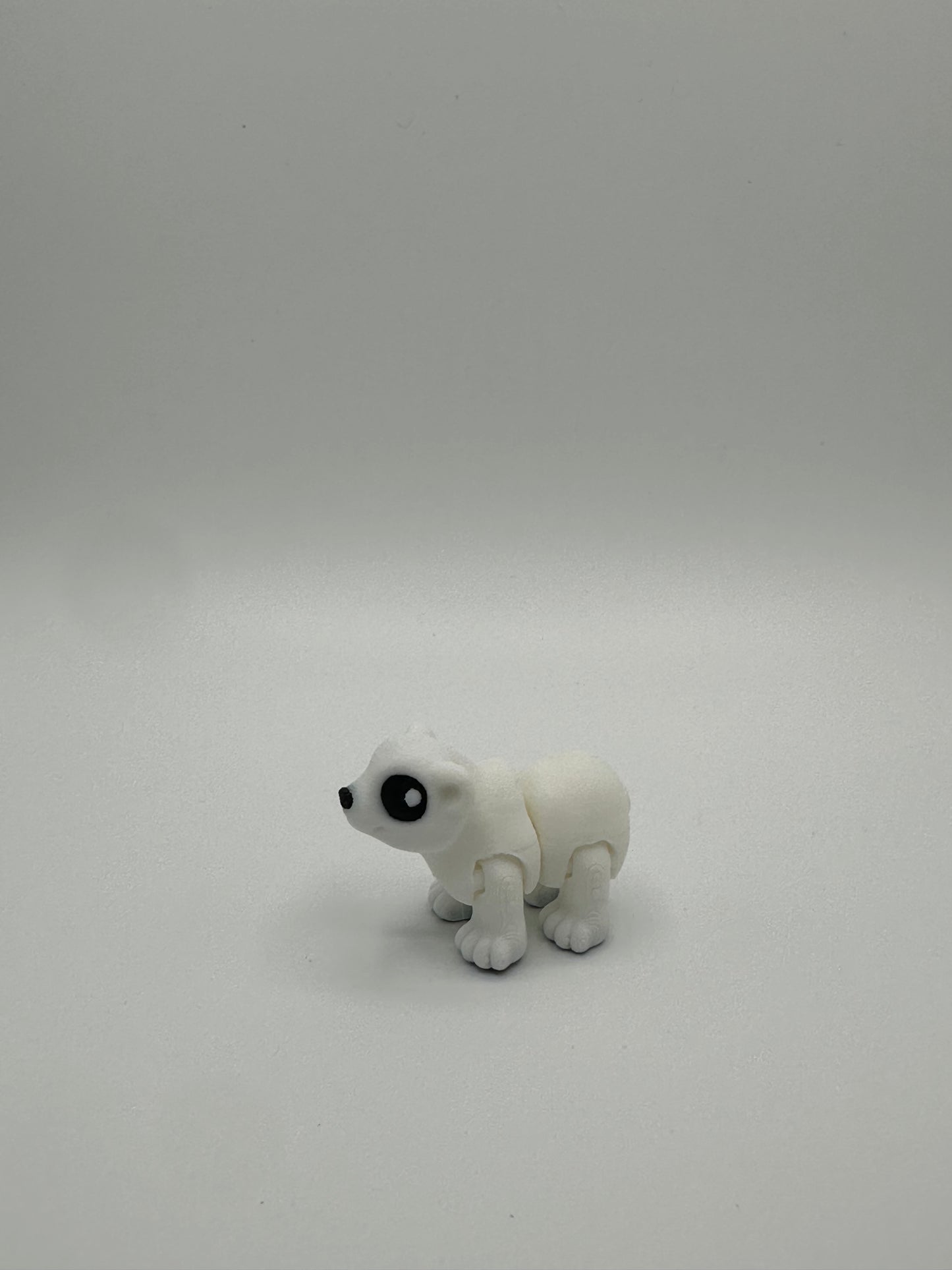 Polar Bear Hatchling