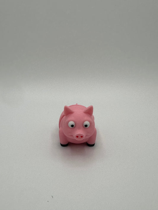 Mini Pig