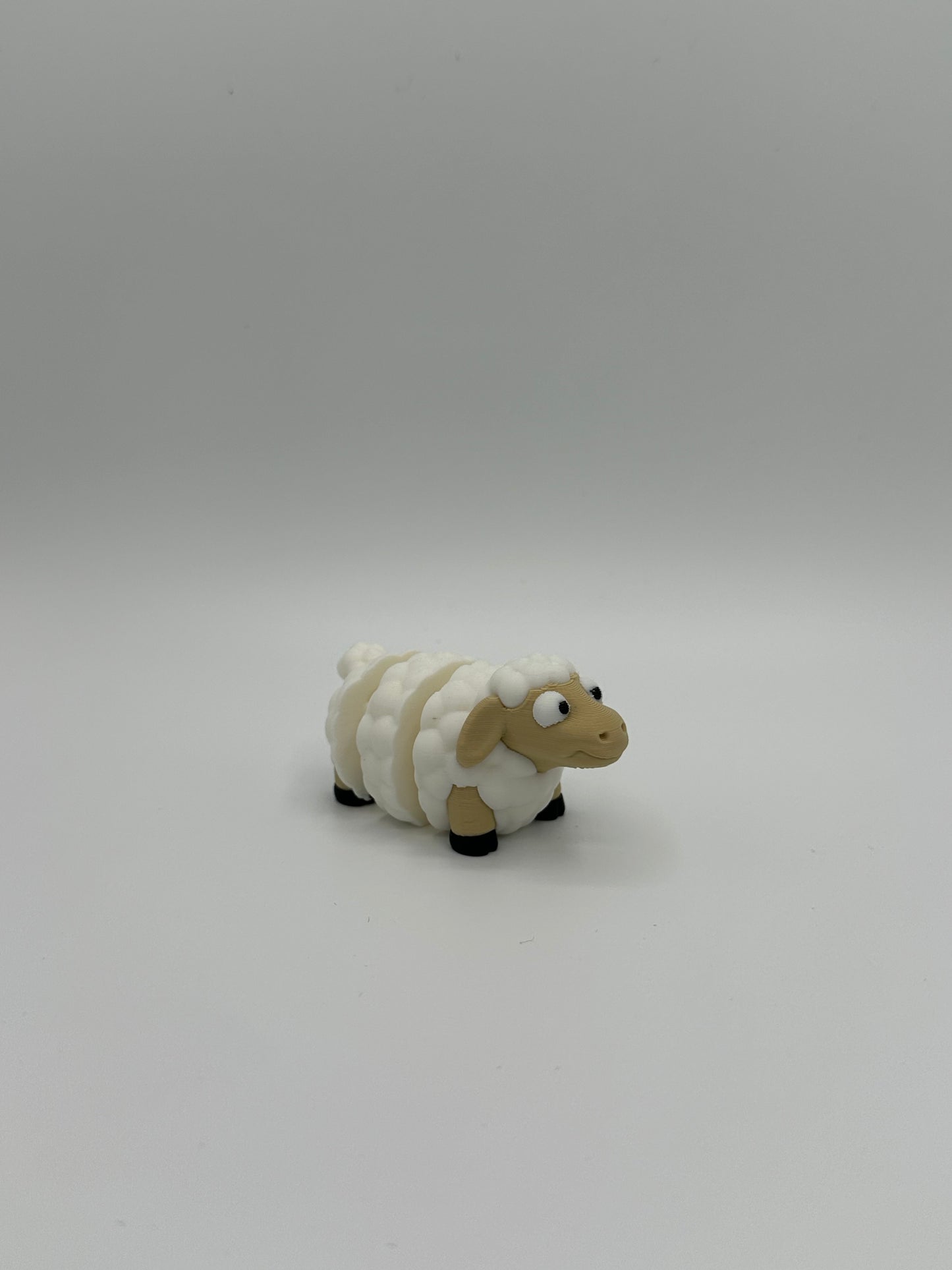 Mini Sheep
