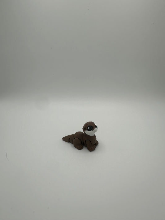 Otter Hatchling