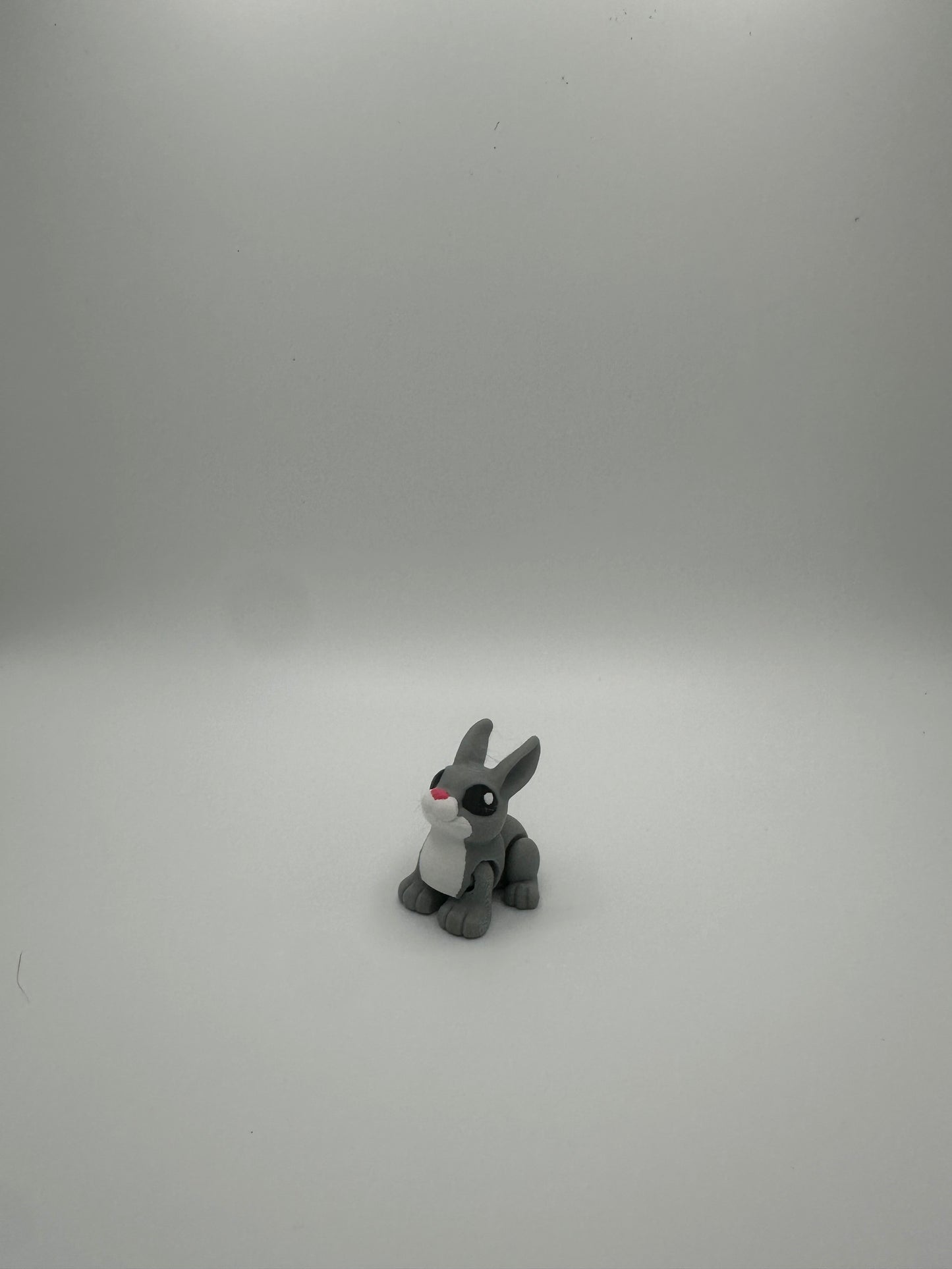 Bunny