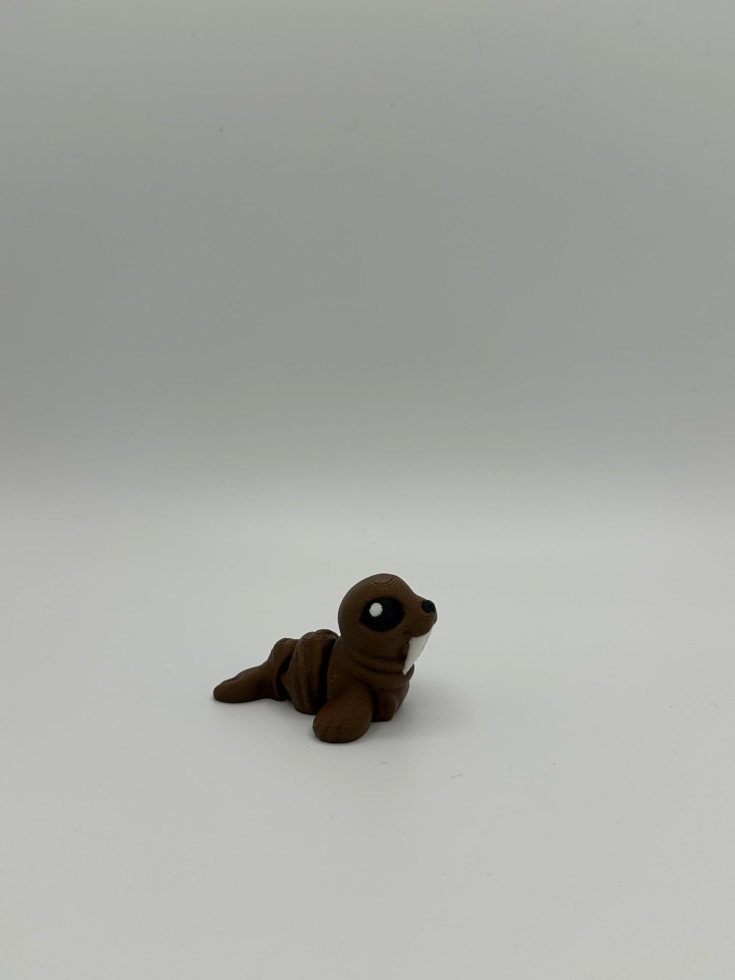 Walrus Hatchling