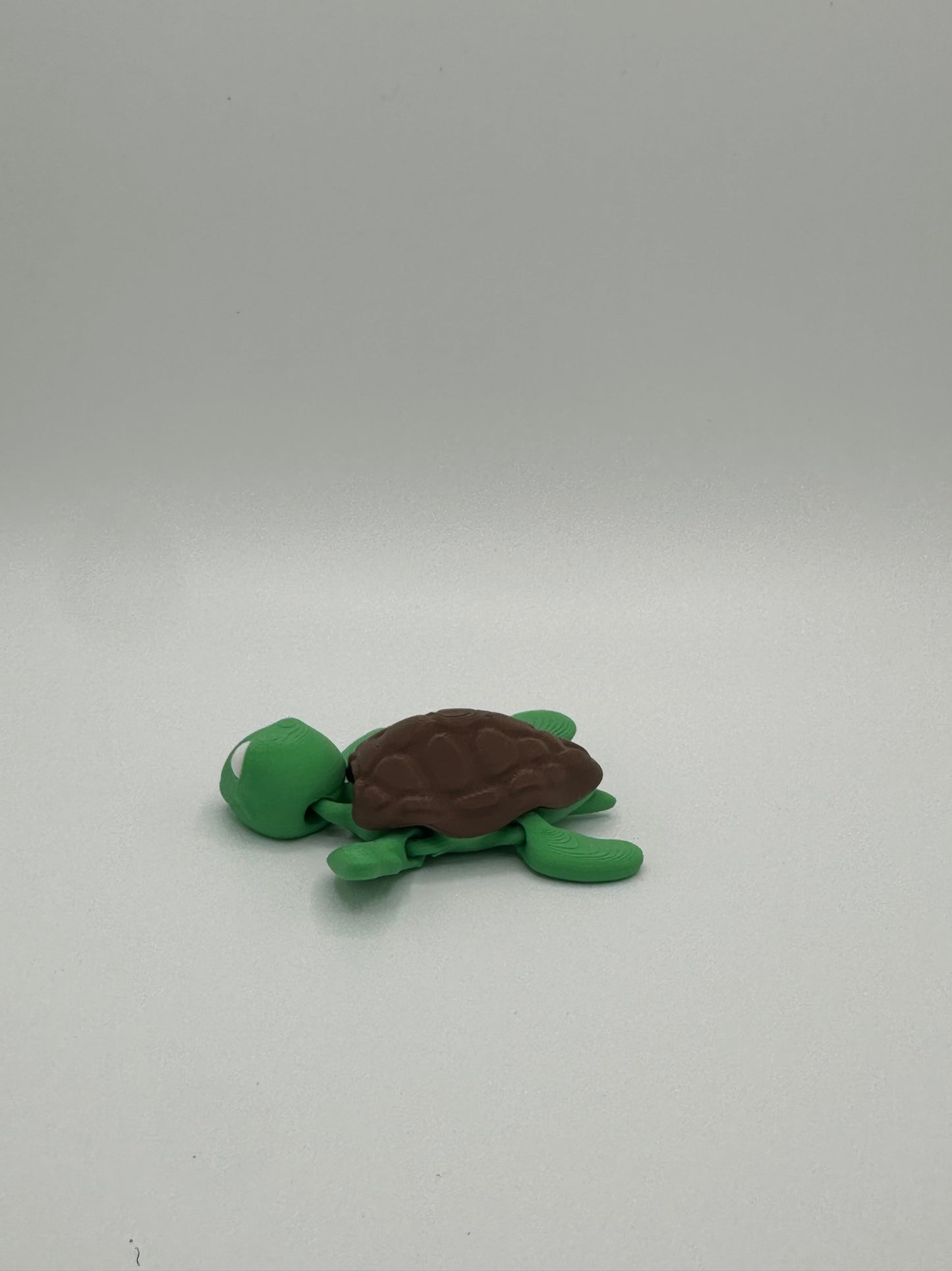 Mini Sea Turtle
