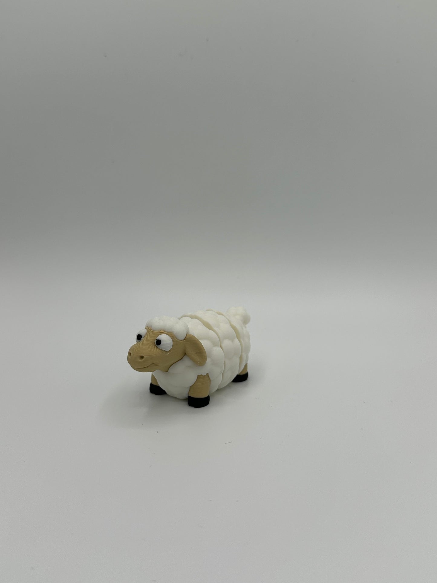 Mini Sheep