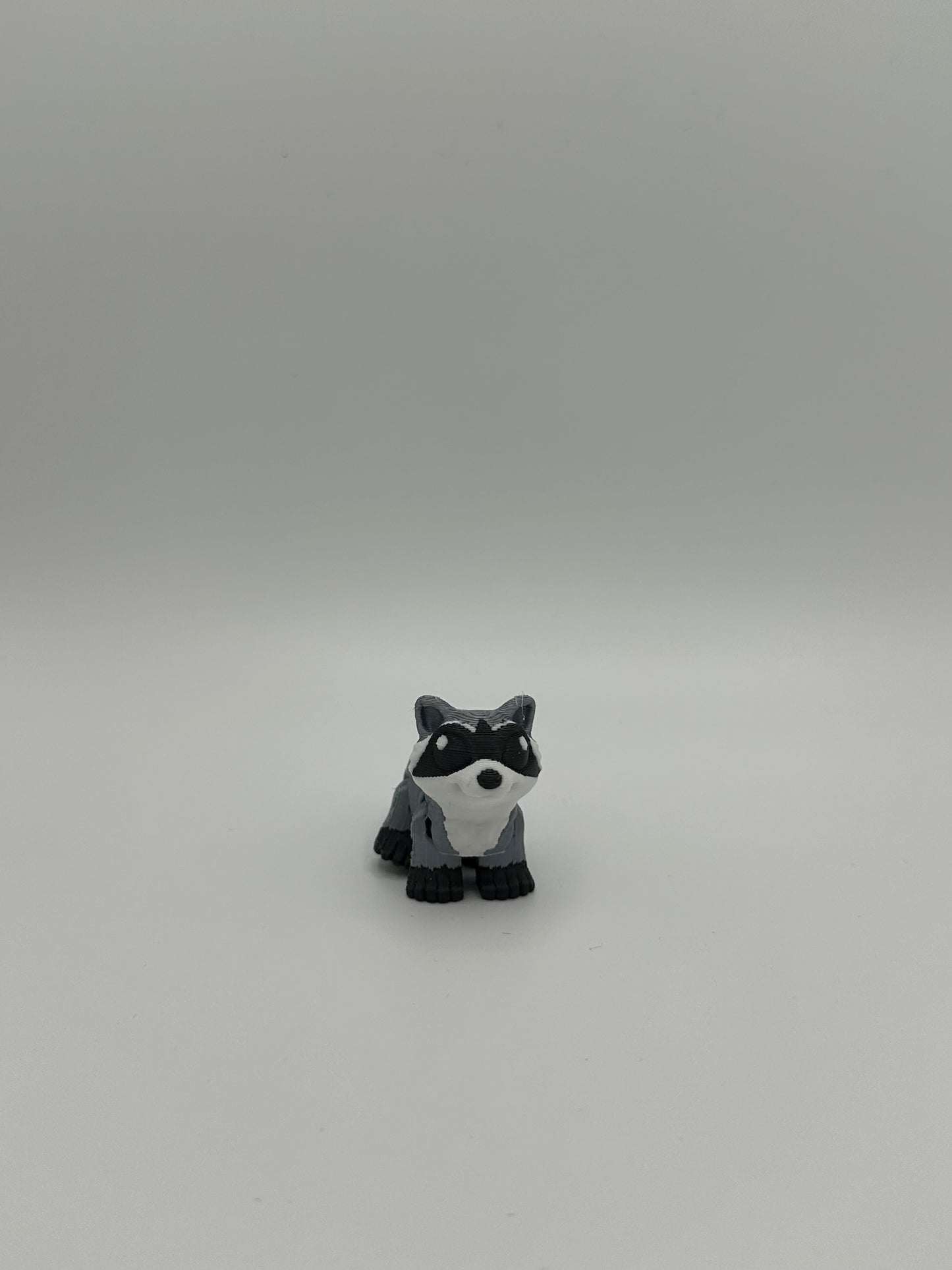 Racoon Hatchling