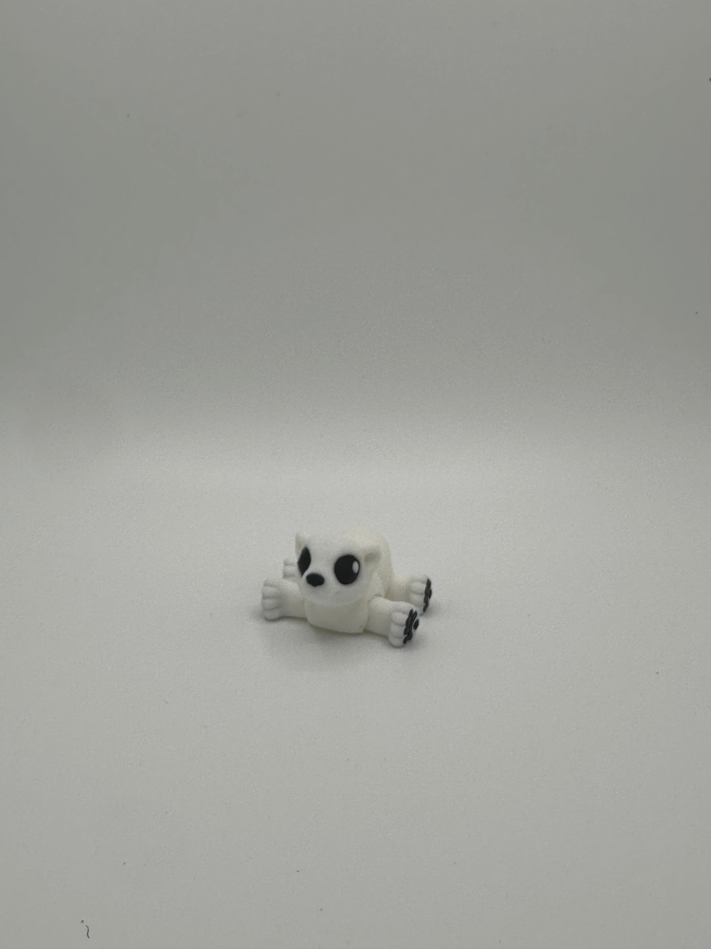 Polar Bear Hatchling