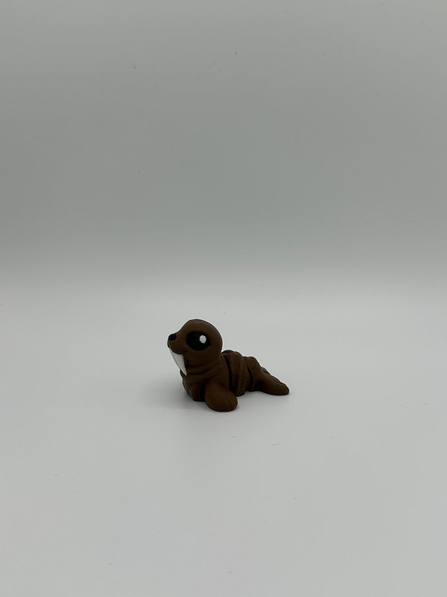 Walrus Hatchling