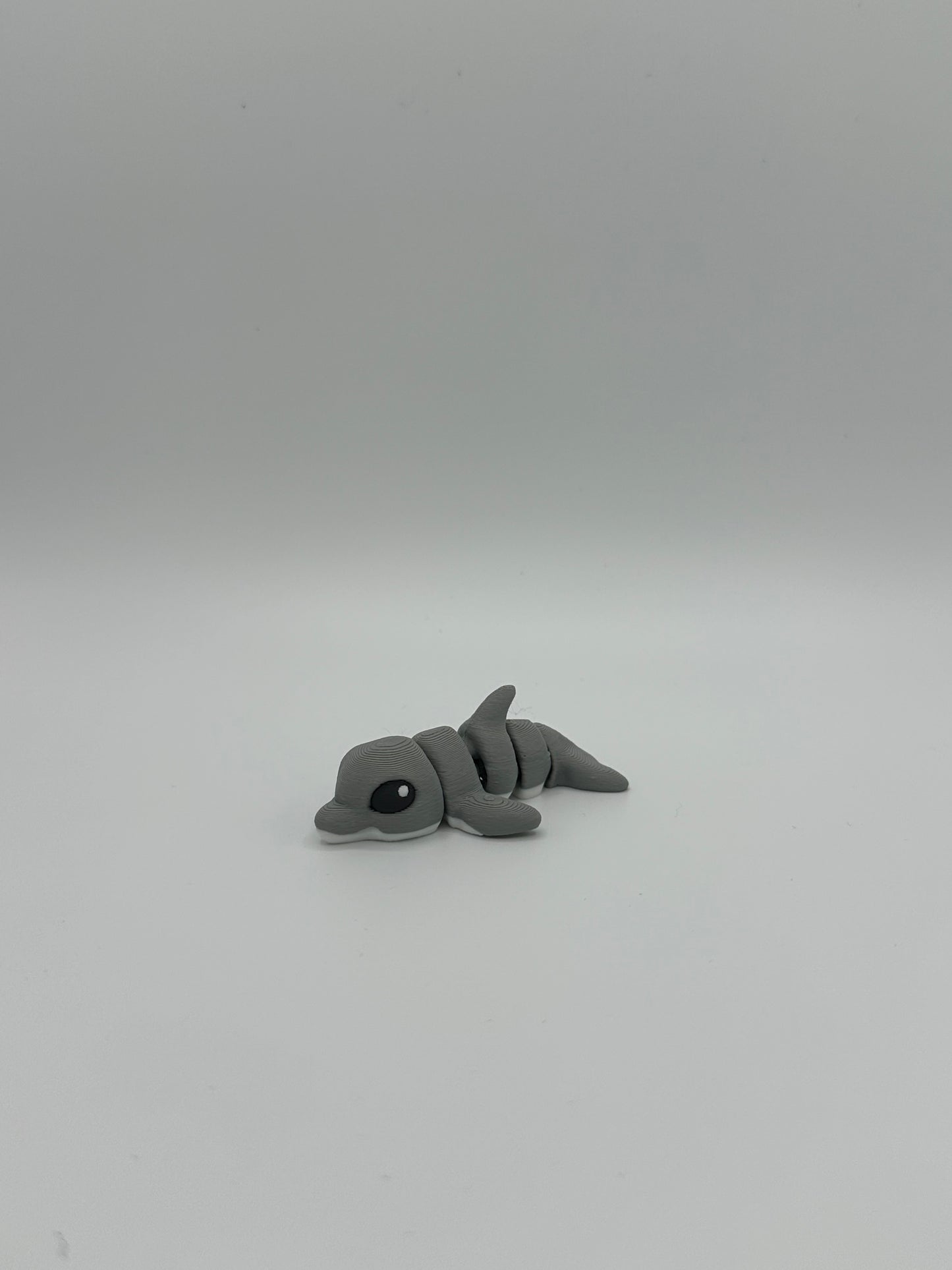 Dolphin Hatchling