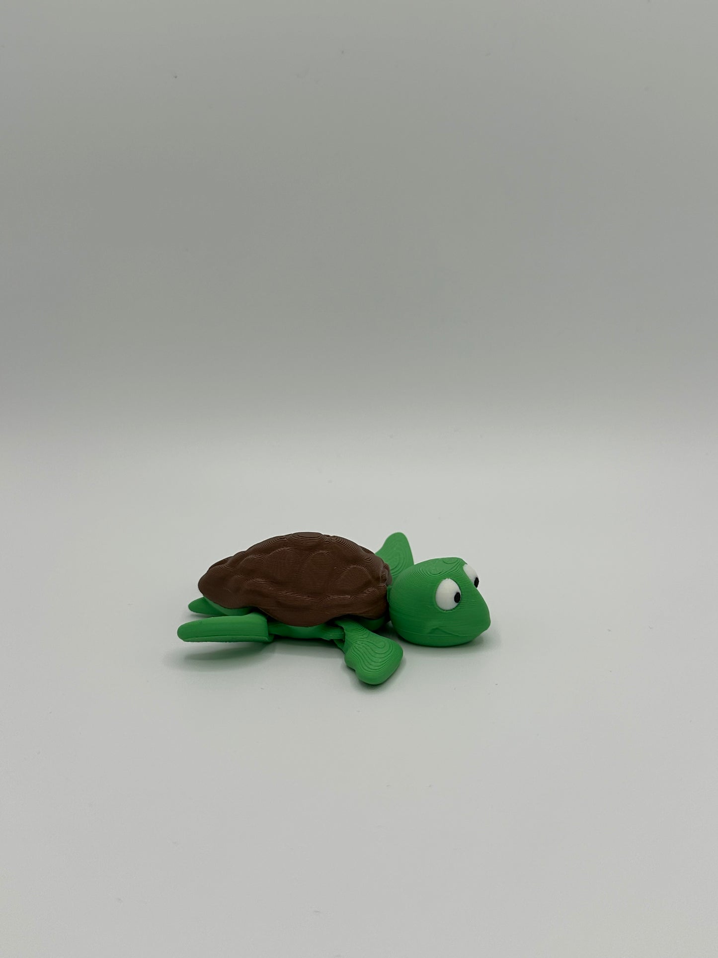 Mini Sea Turtle