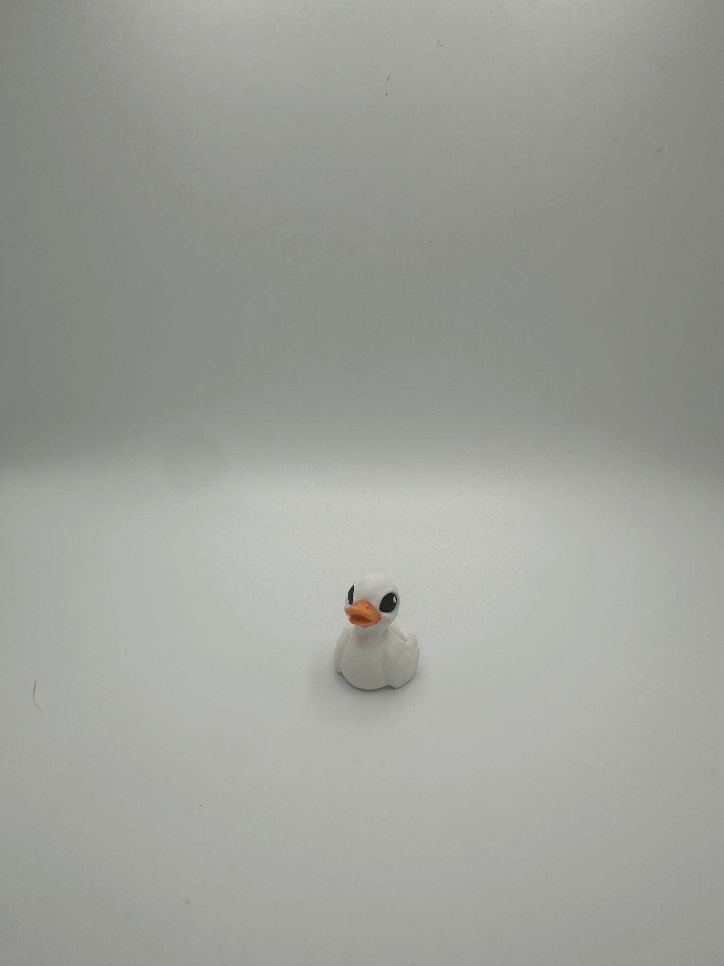 Duck Hatchling