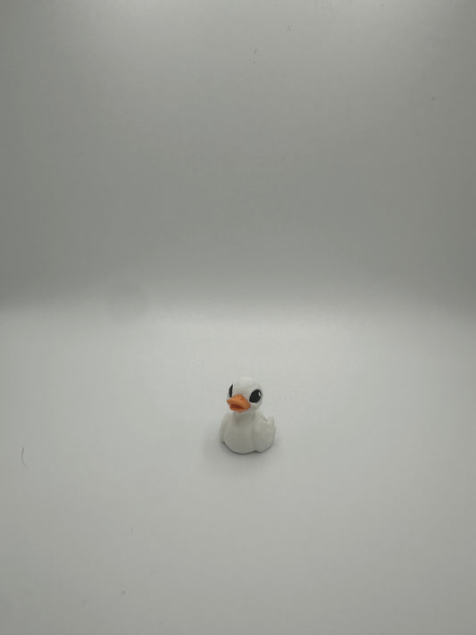Duck Hatchling